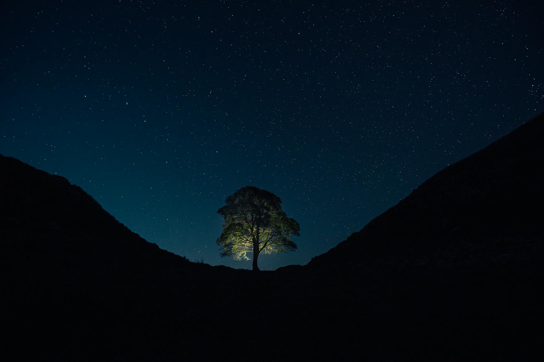 sycamore gap northumberland national park royaume uni dans robin des bois princes voleurs princes of thieves