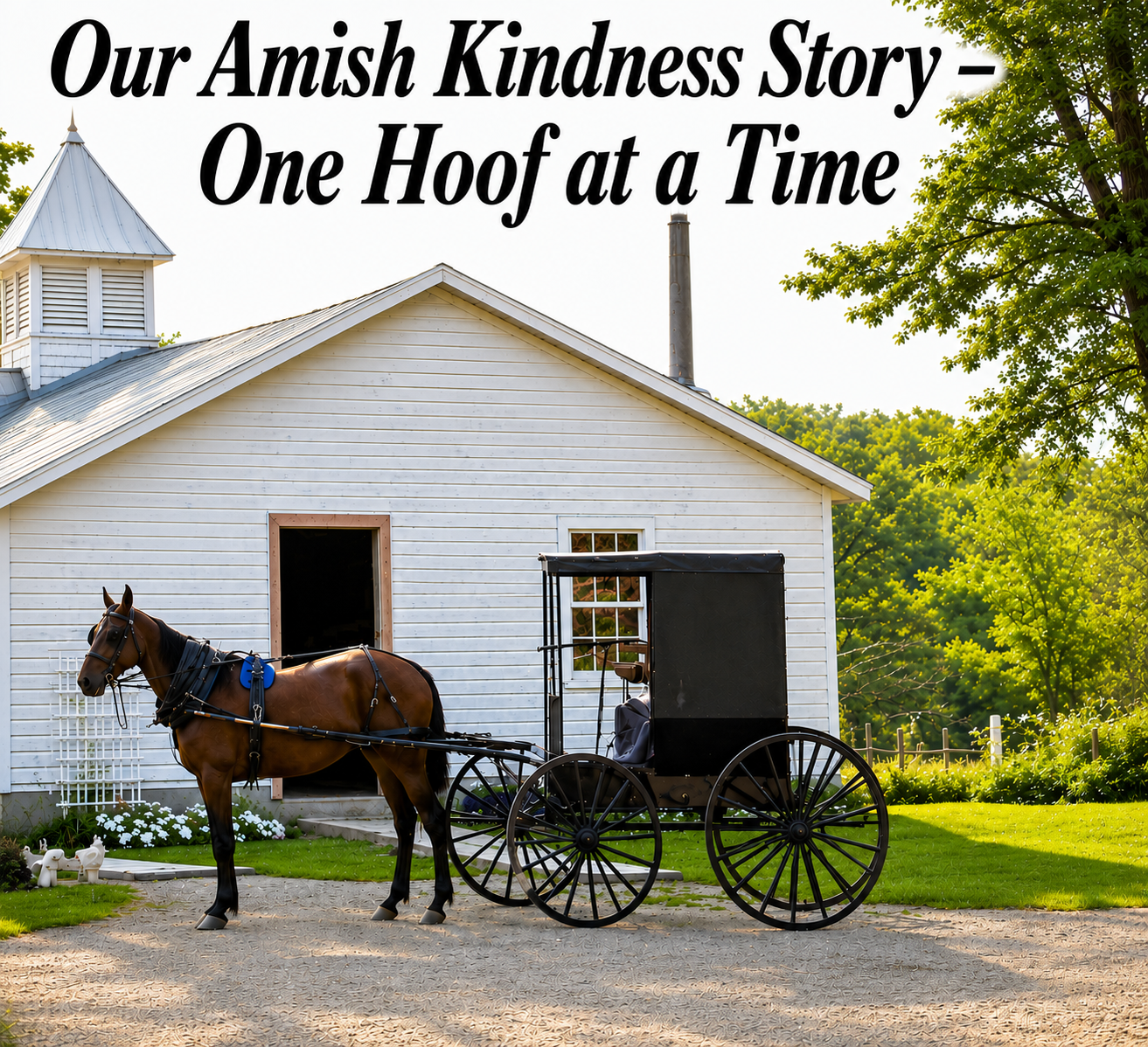 Amish Kindness Story